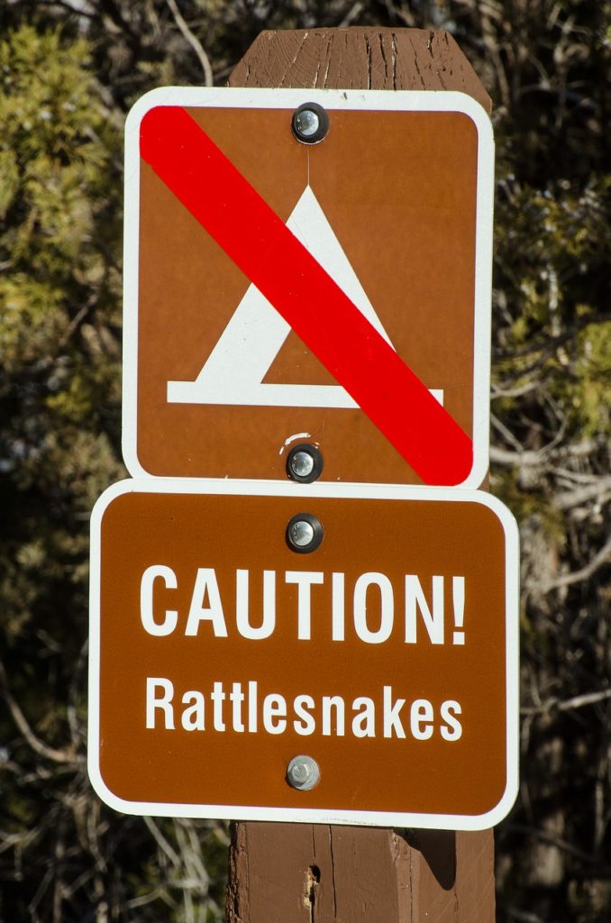 caution rattlesnakes, rattlesnake, warning-1110113.jpg