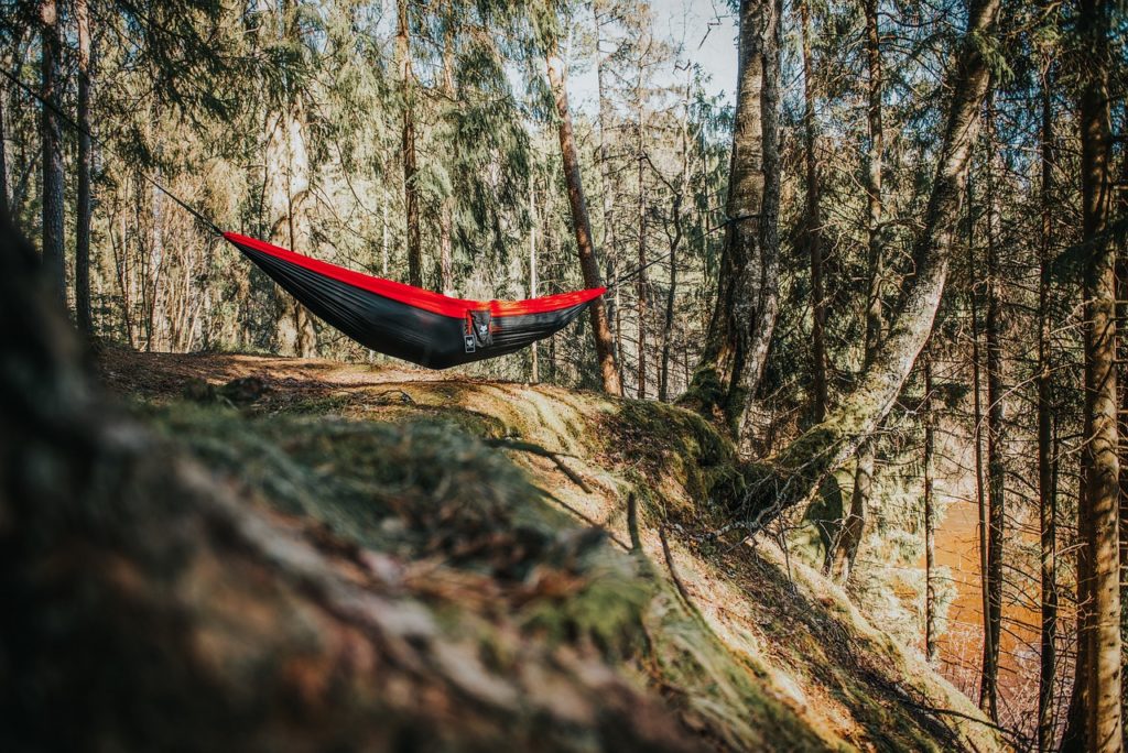 hammock, camping, forest-4676942.jpg